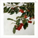 Cherries by Henri Fatin-Latour