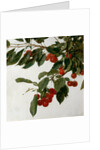 Cherries by Henri Fatin-Latour