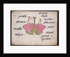 Cross-section through a rose by Christopher Dresser