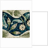 Fishes and lilies by William Frend De Morgan
