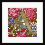 Initial A. Netherlands, 17th century by Unknown