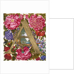 Initial A. Netherlands, 17th century by Unknown