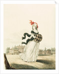 Fashion Plate by Anonymous