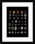 Forty Rings by Unknown