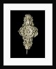Brooch by Unknown