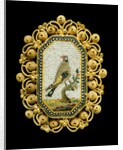 Brooch by Unknown