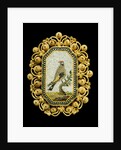 Brooch by Unknown