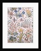Fabric for hunting coat. India, Mughal period, early 17th century by Anonymous
