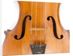Violin, detail by Ralph Agutter