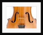 Violin, detail by Ralph Agutter