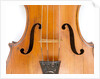 Violin, detail by Ralph Agutter
