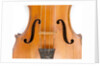 Violin, detail by Ralph Agutter