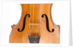 Violin, detail by Ralph Agutter