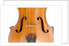 Violin, detail by Ralph Agutter