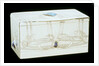 Casket by Archibald Knox