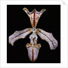 Orchid Hair Ornament by Philippe Wolfers