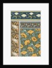 Poppies wallpaper by Eugene Grasset