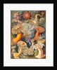 Microbiology book plate by Anonymous