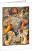 Microbiology book plate by Anonymous