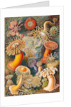 Microbiology book plate by Anonymous