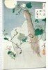 The Ghost of Genji's Lover by Tsukioka Yoshitoshi