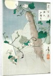 The Ghost of Genji's Lover by Tsukioka Yoshitoshi