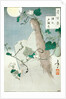 The Ghost of Genji's Lover by Tsukioka Yoshitoshi