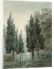 In the Garden of the Villa Pomfili, Rome by John Robert Cozens