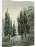 In the Garden of the Villa Pomfili, Rome by John Robert Cozens