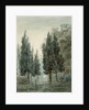 In the Garden of the Villa Pomfili, Rome by John Robert Cozens
