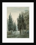 In the Garden of the Villa Pomfili, Rome by John Robert Cozens