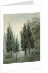 In the Garden of the Villa Pomfili, Rome by John Robert Cozens