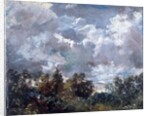 Study of Sky and Trees by John Constable