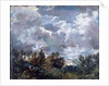 Study of Sky and Trees by John Constable
