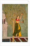 Woman with a parrot. India, 18th century by Unknown