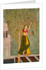 Woman with a parrot. India, 18th century by Unknown