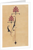 Design by Christopher Dresser. England, late 19th century by Christopher Dresser