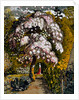 In a Shoreham Garden by Samuel Palmer