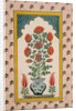 Marigolds in a Blue and White Vase within a Niche. India, 18th century by Unknown