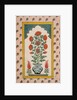 Marigolds in a Blue and White Vase within a Niche. India, 18th century by Unknown