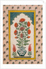 Marigolds in a Blue and White Vase within a Niche. India, 18th century by Unknown