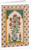 Marigolds in a Blue and White Vase within a Niche. India, 18th century by Unknown