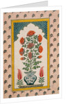 Marigolds in a Blue and White Vase within a Niche. India, 18th century by Unknown
