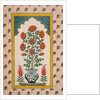Marigolds in a Blue and White Vase within a Niche. India, 18th century by Unknown