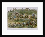 Triumphal March of the Elf King by Richard Doyle
