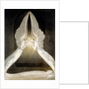 The Angels Hovering over The Body of Christ in the Sepulchre by William Blake