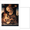 Virgin and Child by Carlo Crivelli