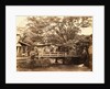 Bridge at the entrance to the town of Onica by Felice Beato