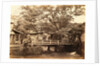 Bridge at the entrance to the town of Onica by Felice Beato