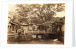 Bridge at the entrance to the town of Onica by Felice Beato